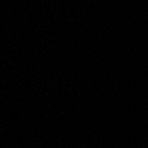 Meet your Posher, Jerry